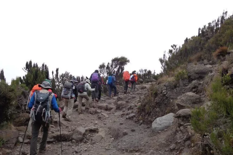 Kilimanjaro Day Hike