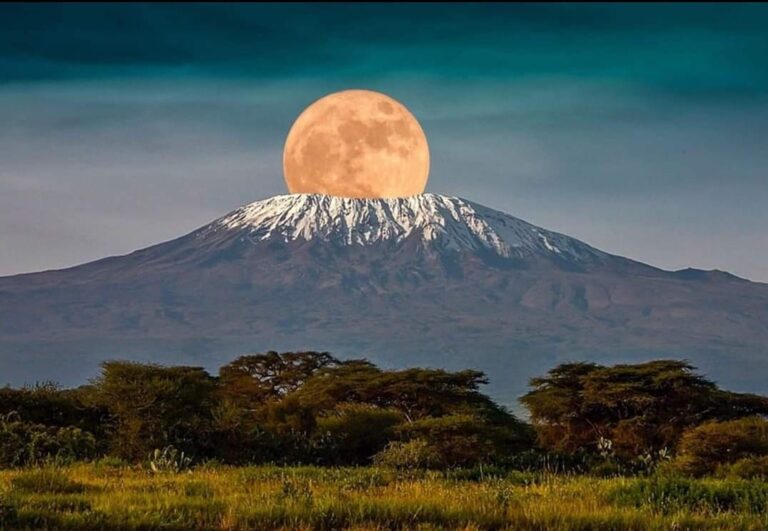 NST-Trekking-Mount-Kilimanjaro-Lemosho-M-1