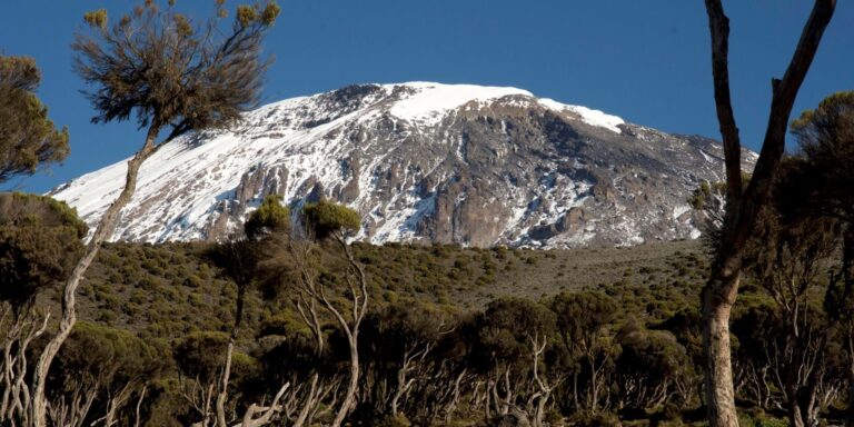 NST-Trekking-Mount-Kilimanjaro-Machame-M6D