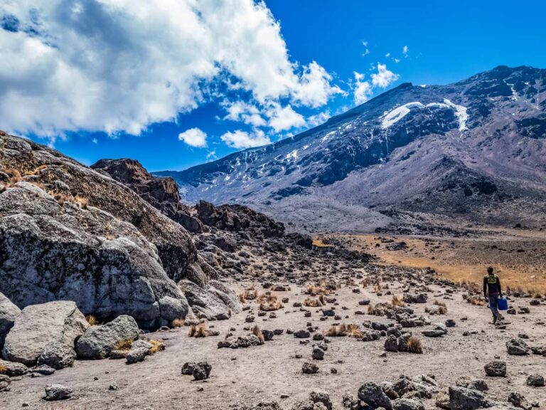 NST-Trekking-Mount-Kilimanjaro-Machame-M7D